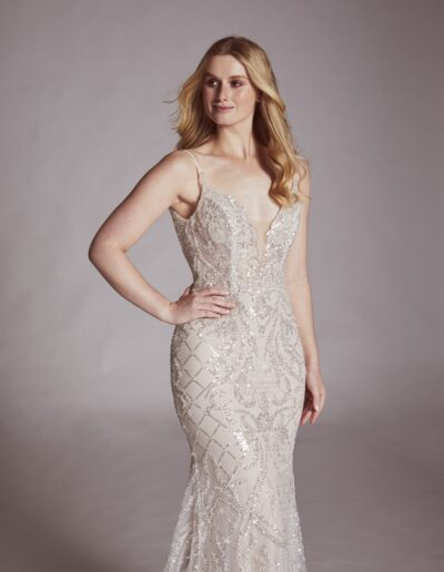 wedding dress fitted low back v-neck